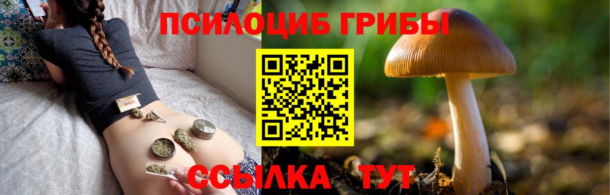 Скопин  Псилоцибиновые грибы мицелий  Вход с VPN 